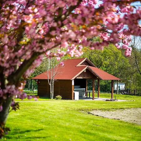 Aranyszarvas Panzió****, étterem és Grillterasz 4* Szarvas